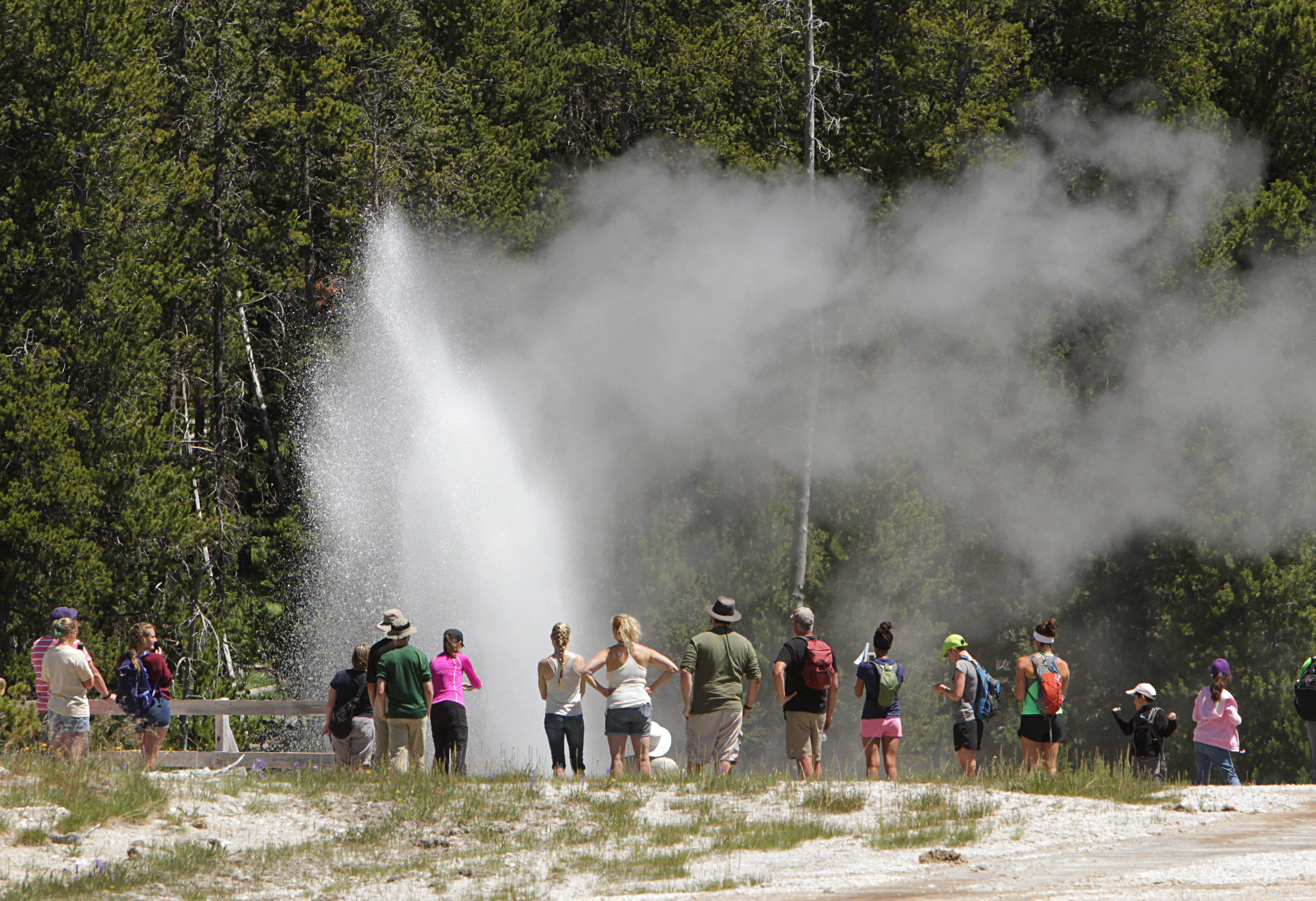 Yellowstone National Park: The Complete 2026 Visitor Guide